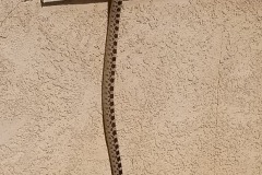 Great Basin Gopher Snake    ©High Desert Wildlife Control