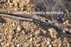 California Ground Squirrel Damage ©High Desert Wildlife Control