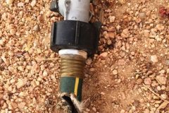 California Ground Squirrel Damage ©High Desert Wildlife Control