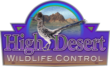 High Desert Wildlife Control LLC