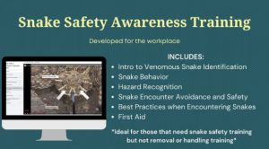 Snake Safety Awareness Training High Desert Wildlife Control