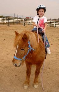 Sugar, prior to attack by dogs on her own property